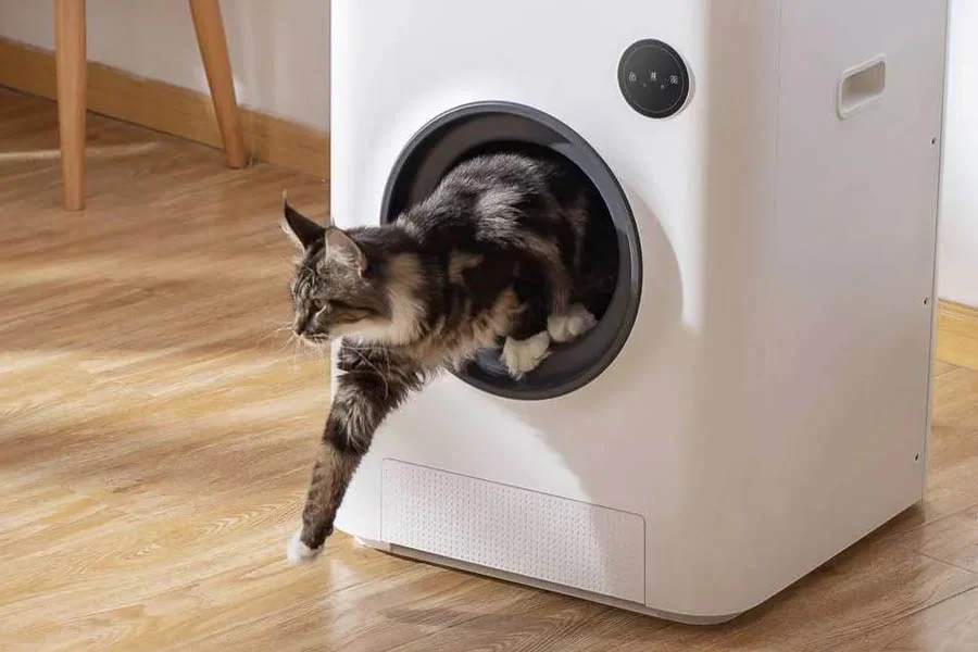 robotic kitty litter