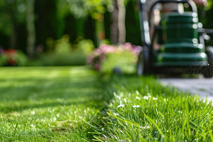 mower rechargeable