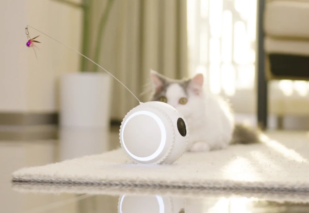 home pet camera